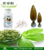 Green tea capsule Diet tea powder