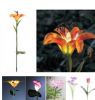 Sell EVA solar decorative flower light with LED