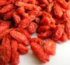 Sell Dried goji berries