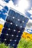 Sell EVA film for encapsulating solar module