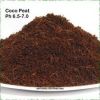 Sell viet nam coco peat