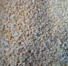 Sell Freeze Dried Garlic 3x3mm