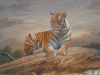 Sell Animai oil paintings on canvas