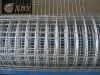 Sell PVC coated welded wire mesh