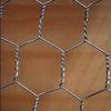 Sell hexagonal wire netting