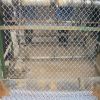 Sell chain link mesh