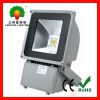 Supply 100W LED flood lights