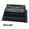 supply Wellsee brand solar controller