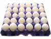 FARM FRESH WHITE SHELL TABLE EGGS