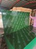 WATER PFOOF GREEN PLYWOOD