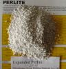 Sell expanded perlite