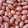 Sell New Crop Peanut Kernels