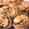 Sell Walnuts