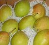 Sell fresh pear