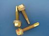 Sell Self drilling Screws