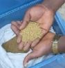 Selling Raw gold powder, precious metals, au-metal, alluvial gold dust