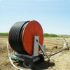 Sell Hose Reel Irrigation System