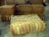 Coconut Fiber/ Coco Fiber/ Coir Fiber