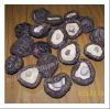 Sell shiitake mushroom