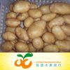 fresh holland potato