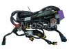 wholesale car ecu wire harness(wire250)