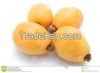 Fresh loquat