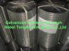 Sell electro galvanized welded wire mesh