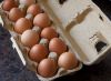 Sell  FRESH BROWN CHICKEN EGGS