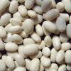 Sell all types of kidney beans