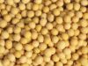 Sell High Quality soybean