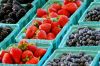 Sell Organic frozen berry