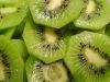 Sell new crop fresh kiwi fruit