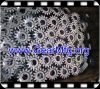 Sell Spur Gear Good Quality