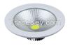 LED Down Light