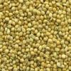 Sell Yellow millet