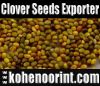 Sell Offer Persian Clover Seeds