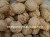 Chinese walnuts