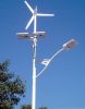 Solar&Wind Energy Street Light 130W (HZ-FGHBLD130W)