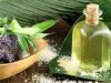 Sell Eucalyptus oil