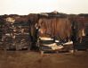 Sell cattle hides, calf skins, sheep skins, lamb skins, goat skins