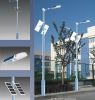 Sell Solar Street Light