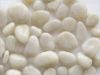 Sell white cobble and pebble stone