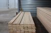 Siberian larch