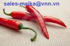 Sell fresh hot pepper