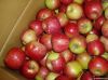 Sell Fresh Jiguan Apple