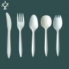 Sell biodegradable cutlery