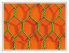 Sell Hexagonal Wire Mesh