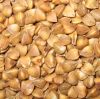 Sell Roasted  Buckwheat  Kernel