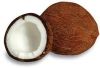 Sell Fresh Coconut