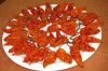 Sell Bhut Jolokia (Ghost Chili)